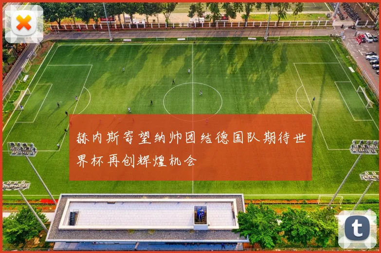 赫内斯寄望纳帅团结德国队期待世界杯再创辉煌机会