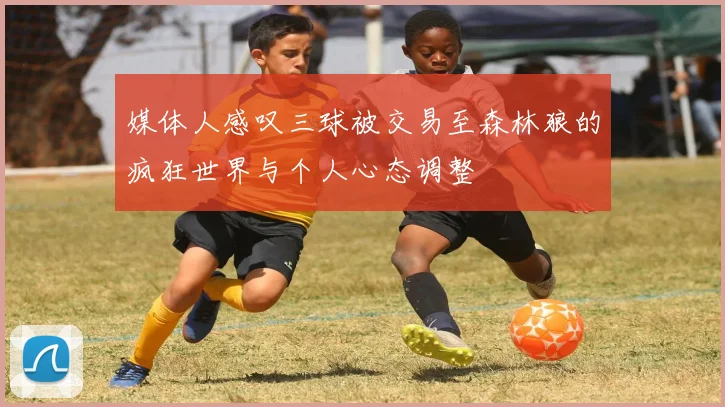 媒体人感叹三球被交易至森林狼的疯狂世界与个人心态调整