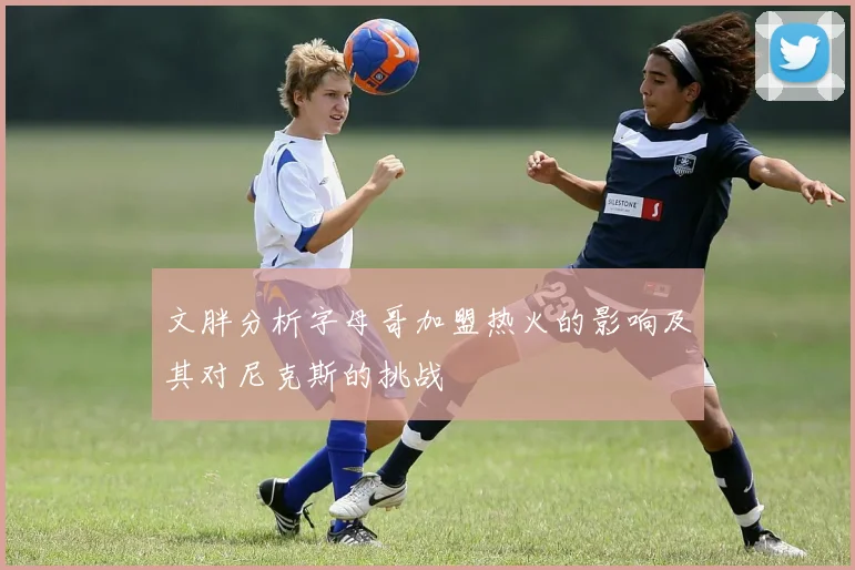 文胖分析字母哥加盟热火的影响及其对尼克斯的挑战
